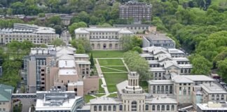Artificial intelligence project to teach students early