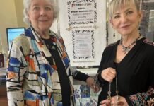 Friends of Chelsea District Library to Host Annual Used Jewelry & Purse Sale – The Sun Times News