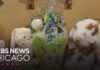 Timeless Toys sells bespoke Easter Baskets
