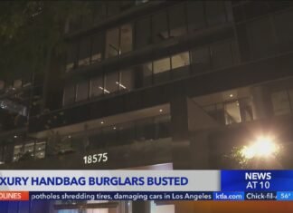 Luxury handbag burglars busted in Irvine