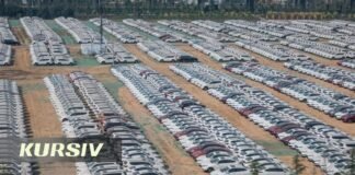 China car sales post biggest drop in two years