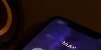 US man pleads guilty to defrauding music streamers out of millions using AI