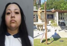 Employee accused of stealing $10K worth of jewelry from Homestead pawn shop
