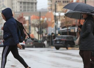 Will it rain all day? Flood watches, warnings in Michigan. See radar