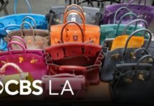 $6 million in handbags, watches seized in Southern California burglary bust