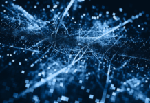 Artificial Intelligence, Real Legal Risks: What Every Brand Needs to Know