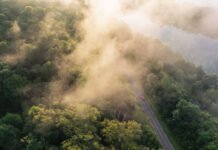 Stellantis sees surging registrations in EU new-car market