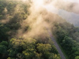 Stellantis sees surging registrations in EU new-car market