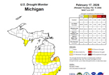 ‘None of this is normal’ – Michigan watches winter drought ahead of growing season