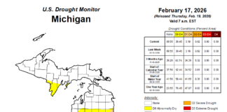 ‘None of this is normal’ – Michigan watches winter drought ahead of growing season