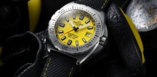 Introducing – The Steel Delma Shell Star Automatic, now in
41mm