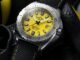 Introducing – The Steel Delma Shell Star Automatic, now in
41mm
