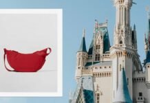 9 Best Bags for Disney, According to a Theme Park Reporter