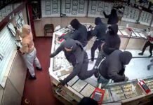 Watch: Group of thieves ransack Fremont jewelry store
