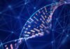 An Australian tech entrepreneur used AI to help create the first-ever bespoke cancer vaccine for a dog to treat his beloved pet Rosie
