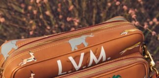 Louis Vuitton Men’s Spring-Summer 2026 Bags Are So Good,
They’re Already on Everyone’s Wish List