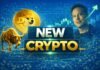 Next Dogecoin Elon Musk: The God of Frogs Watches Cardano Squeeze Into a Pressure Cooker and Calls the Faithfu