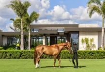 Step Inside Wellington’s Most Bespoke Equestrian Estate