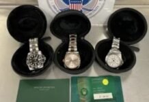 Fake Rolex watches and designer bags worth $125K were stopped at 2 Upstate New York ports