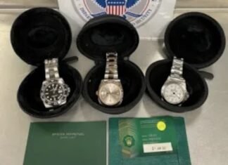 Fake Rolex watches and designer bags worth $125K were stopped at 2 Upstate New York ports