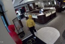 Leader of multi-state jewelry theft ring pleads guilty mid-trial