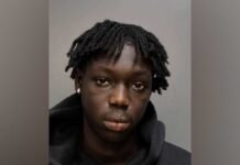 19-year-old accused of stealing victim’s identity to buy $6k worth of luxury handbags