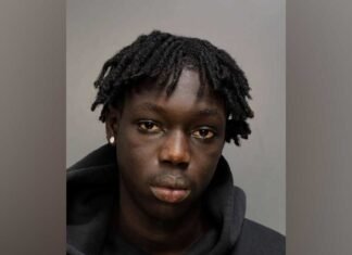 19-year-old accused of stealing victim’s identity to buy $6k worth of luxury handbags