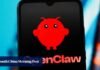 OpenClaw fever: why is China rushing to ‘raise a lobster’?