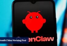OpenClaw fever: why is China rushing to ‘raise a lobster’?