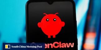 OpenClaw fever: why is China rushing to ‘raise a lobster’?