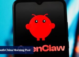 OpenClaw fever: why is China rushing to ‘raise a lobster’?