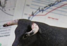 Dior Book Tote: Timeless Luxury Design Sustains Demand Amid Stable Luxury Market