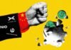 China’s EV Companies Aren’t Just Making Great Cars. They’re Making Money