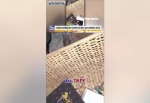 WATCH: Chilean burglary suspects film $3 million jewelry heist