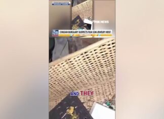 WATCH: Chilean burglary suspects film $3 million jewelry heist