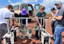 Google backs UH Mānoa AI, robotics research | University of Hawaiʻi System News