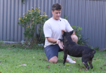 AI’s finest hour: Tech executive uses ChatGPT to create cancer vaccine that saved his dog’s life