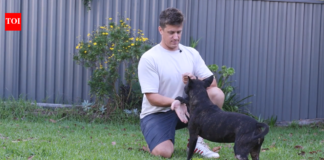 AI’s finest hour: Tech executive uses ChatGPT to create cancer vaccine that saved his dog’s life