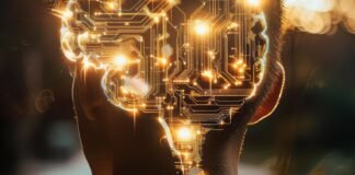 A New Digital Twin for Brain Activity Aims to Speed Research