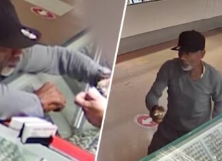 Man runs away with Rolex watch from Miami jewelry store, suveillance shows