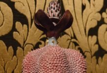 “The Only True Protest Is Beauty”—Inside the Inaugural Presentation at Dries Van Noten’s New Fondazione in Venice