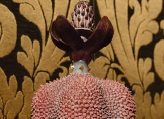 “The Only True Protest Is Beauty”—Inside the Inaugural Presentation at Dries Van Noten’s New Fondazione in Venice