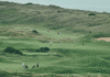 The Hotel at the Edge of Golf’s Holy Land