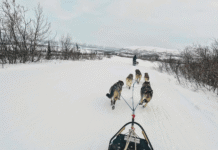 What It’s Like to Mush Your Own Dog Team Through
Alaska