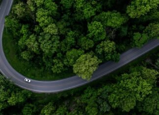 German Federal Court of Justice Dismisses Landmark Climate Claims Against German Car Manufacturers