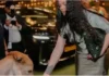 Rihanna Sparks Row With Luxury Handbag While Feeding Cows