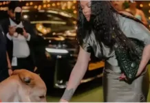 Rihanna Sparks Row With Luxury Handbag While Feeding Cows