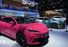 China car giant BYD says it can thrive without access to US market