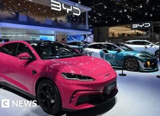 China car giant BYD says it can thrive without access to US market