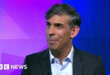 Eliminate jobs tax for workers to compete with AI, says Sunak